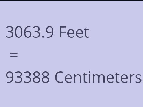 3063.9 FEET TO CM