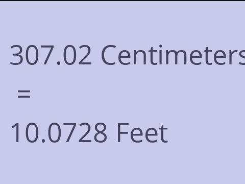 307.02 CM TO FEET