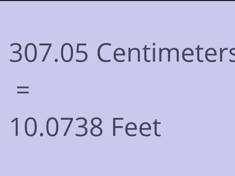 307.05 CM TO FEET