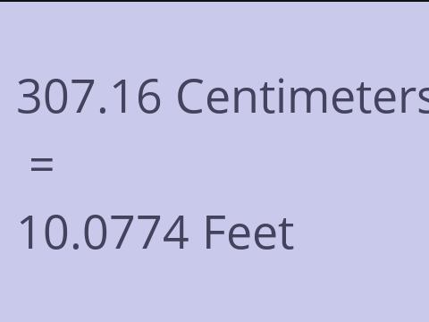 307.16 CM TO FEET