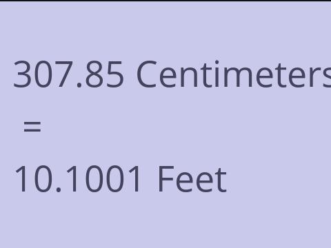 307.85 CM TO FEET