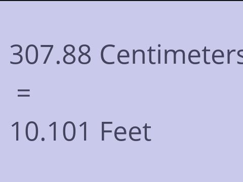 307.88 CM TO FEET