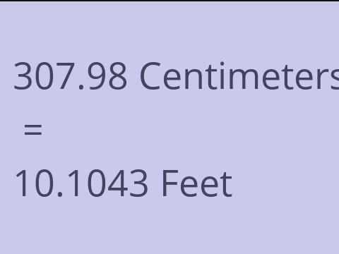 307.98 CM TO FEET