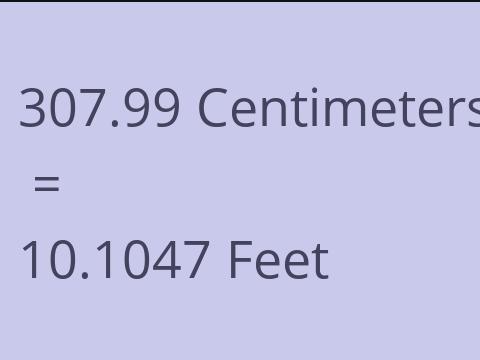 307.99 CM TO FEET