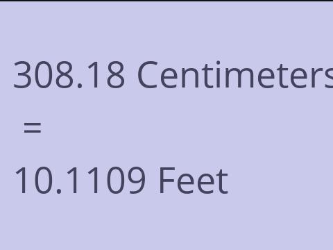 308.18 CM TO FEET