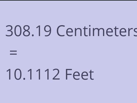 308.19 CM TO FEET