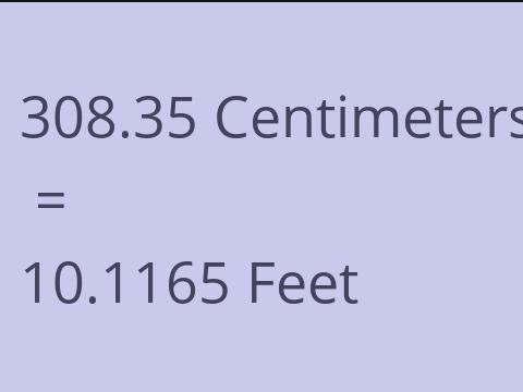 308.35 CM TO FEET