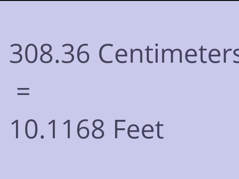 308.36 CM TO FEET