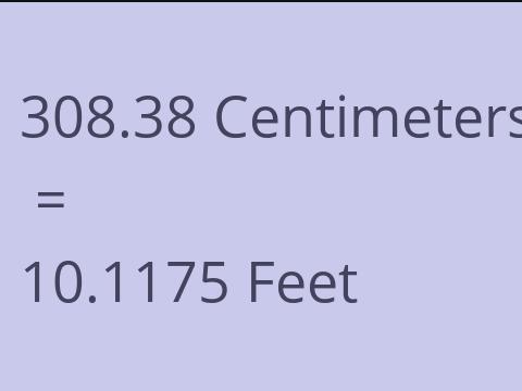 308.38 CM TO FEET