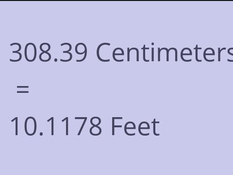 308.39 CM TO FEET