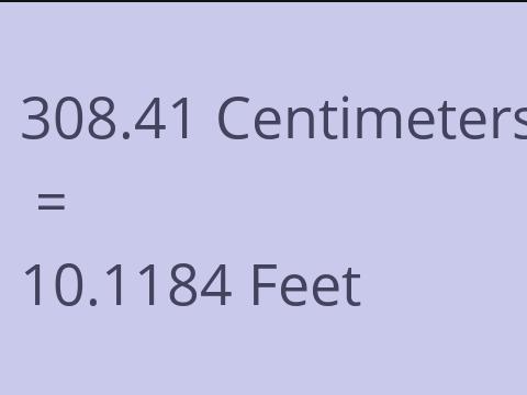 308.41 CM TO FEET