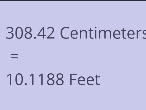 308.42 CM TO FEET