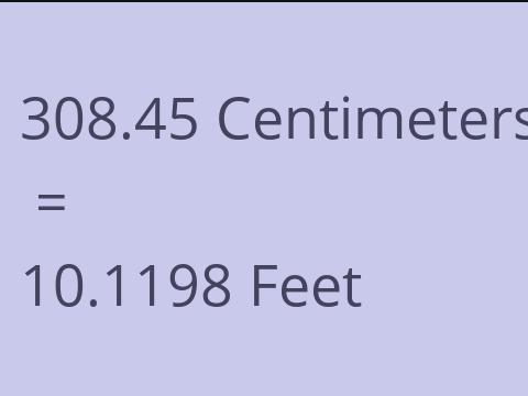 308.45 CM TO FEET