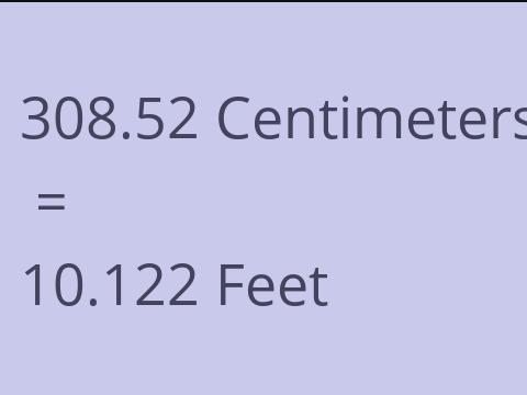 308.52 CM TO FEET