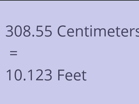 308.55 CM TO FEET