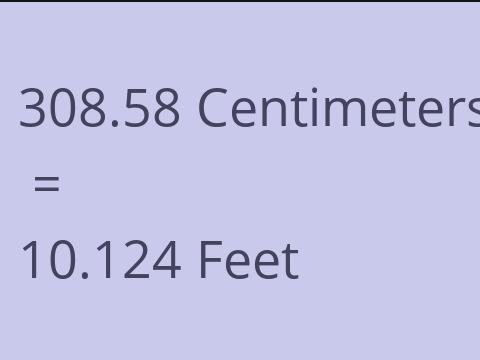 308.58 CM TO FEET