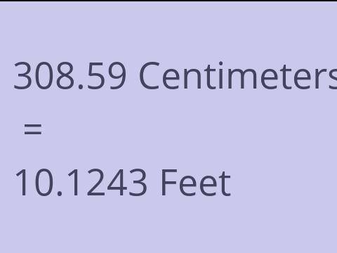 308.59 CM TO FEET