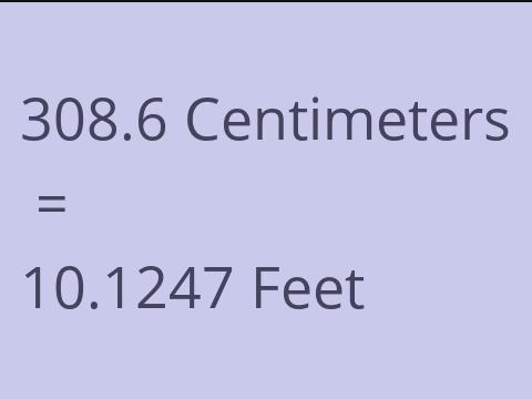 308.6 CM TO FEET