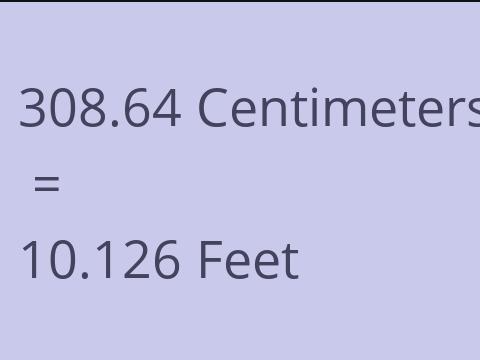 308.64 CM TO FEET