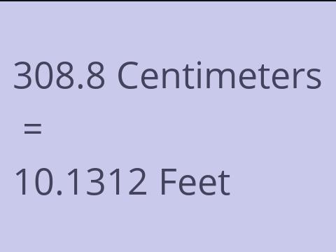 308.8 CM TO FEET