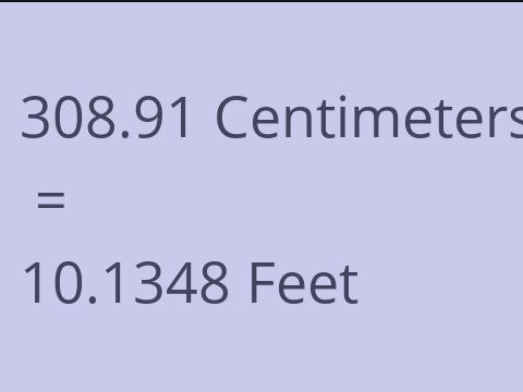 308.91 CM TO FEET