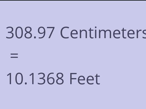 308.97 CM TO FEET