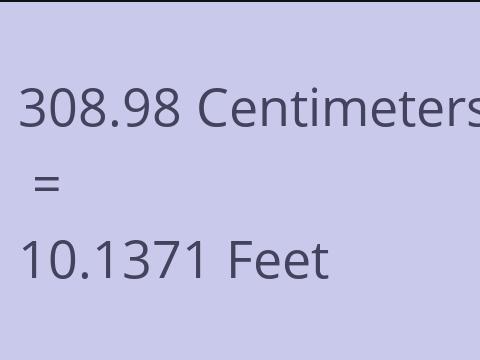 308.98 CM TO FEET