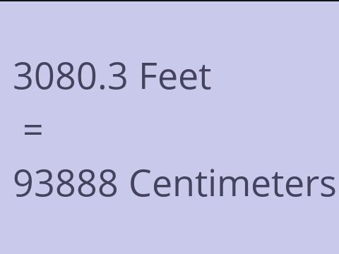 3080.3 FEET TO CM