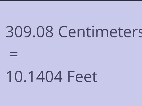 309.08 CM TO FEET