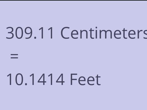 309.11 CM TO FEET