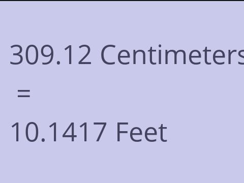 309.12 CM TO FEET