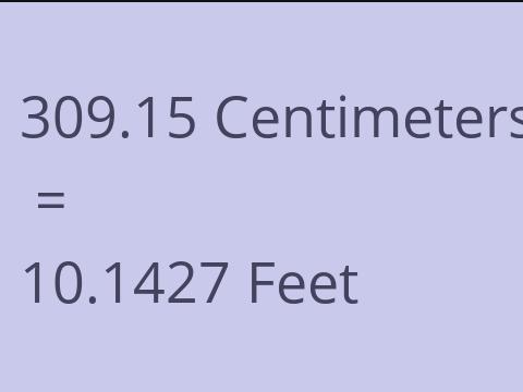 309.15 CM TO FEET