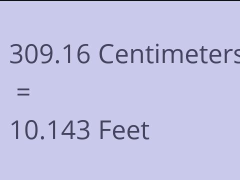 309.16 CM TO FEET