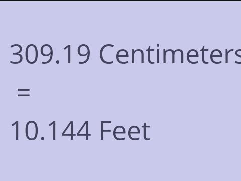 309.19 CM TO FEET