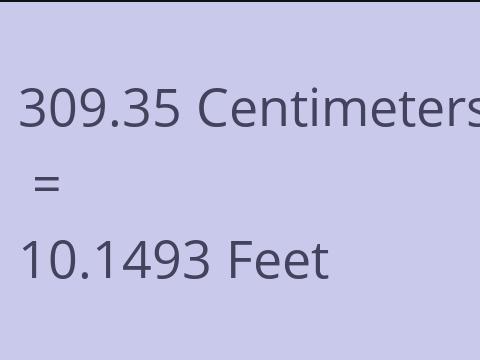 309.35 CM TO FEET