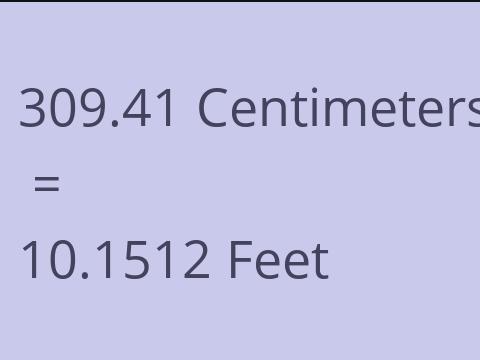 309.41 CM TO FEET