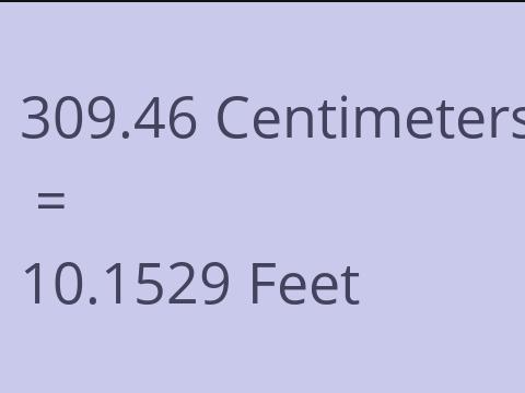 309.46 CM TO FEET