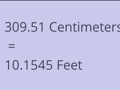 309.51 CM TO FEET