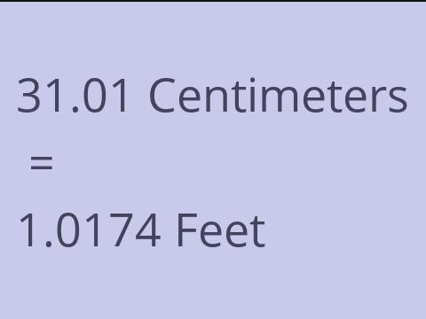 31.01 CM TO FEET