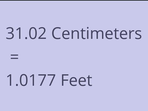 31.02 CM TO FEET