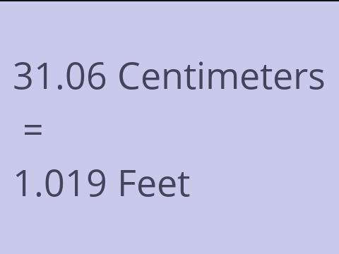 31.06 CM TO FEET