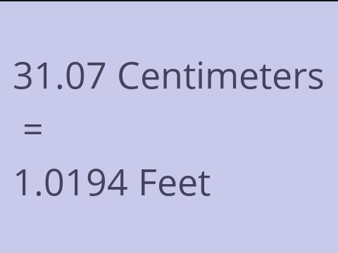 31.07 CM TO FEET