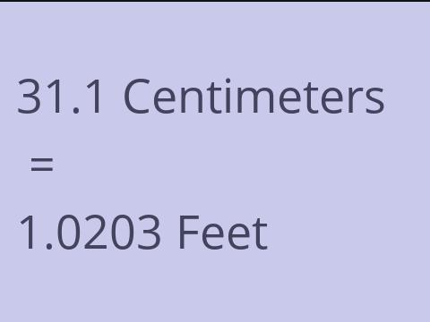 31.1 CM TO FEET