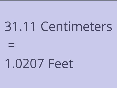 31.11 CM TO FEET