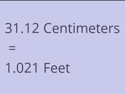 31.12 CM TO FEET