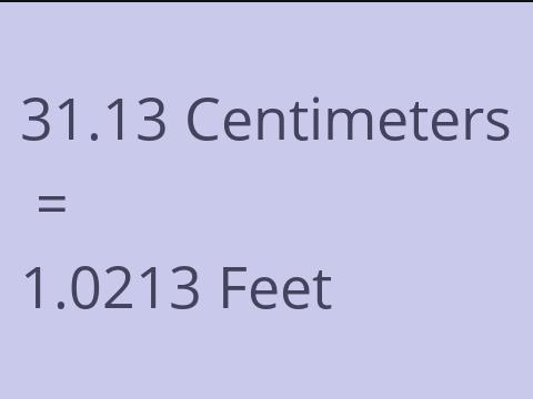 31.13 CM TO FEET