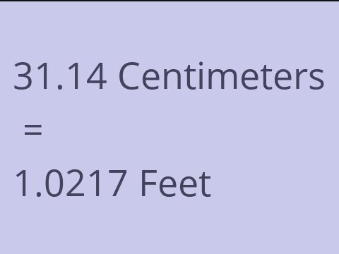 31.14 CM TO FEET