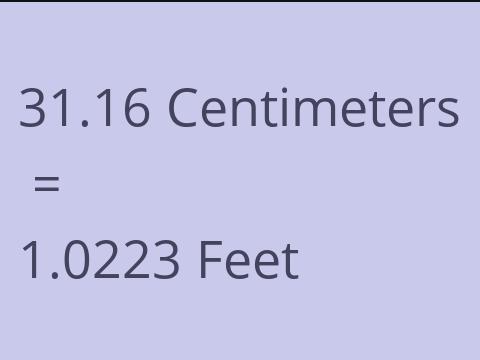 31.16 CM TO FEET