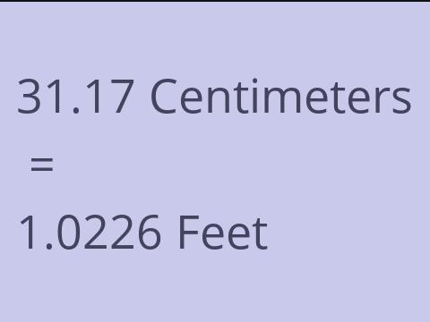 31.17 CM TO FEET