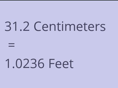 31.2 CM TO FEET